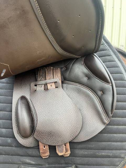 Sella da salto ostacoli Prestige Italia  17.5" - 2021