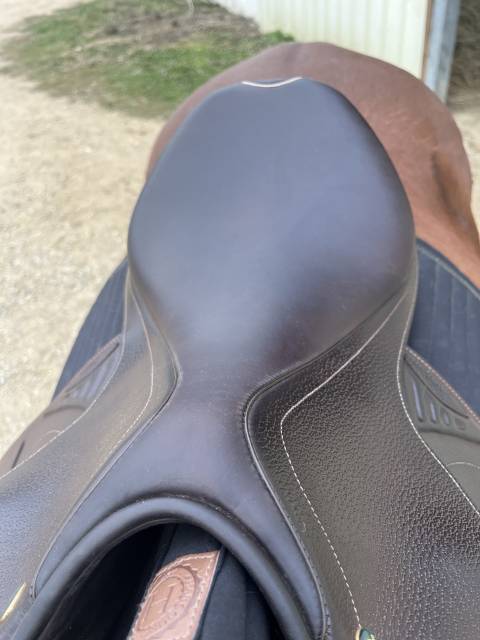 Sella da salto ostacoli Prestige Italia  17.5" - 2021