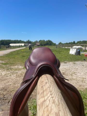 Sella mista CWD  17.5" - 2020