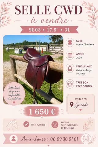 Sella mista CWD  17.5" - 2020