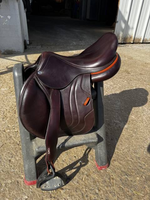 Sella da salto ostacoli CWD  17" - 2023