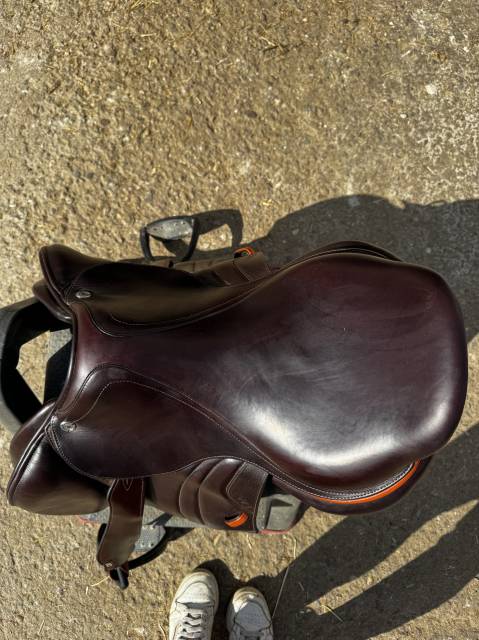 Sella da salto ostacoli CWD  17" - 2023