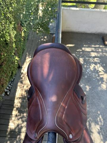 Sella da salto ostacoli CWD  17.5" - 2023