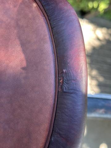 Sella da salto ostacoli CWD  17.5" - 2023