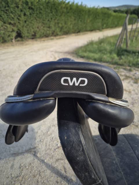 Sella da salto ostacoli CWD  17" - 2022