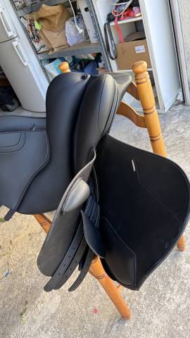 Sella da salto ostacoli Norton  17.5" - 2026
