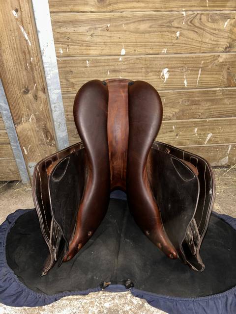 Sella da salto ostacoli Renaissance Prestige  18" - 2019