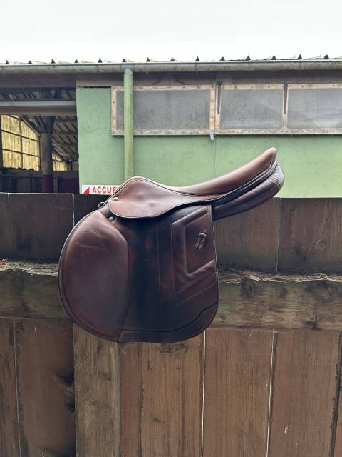 Sella da salto ostacoli Renaissance Prestige  18" - 2019