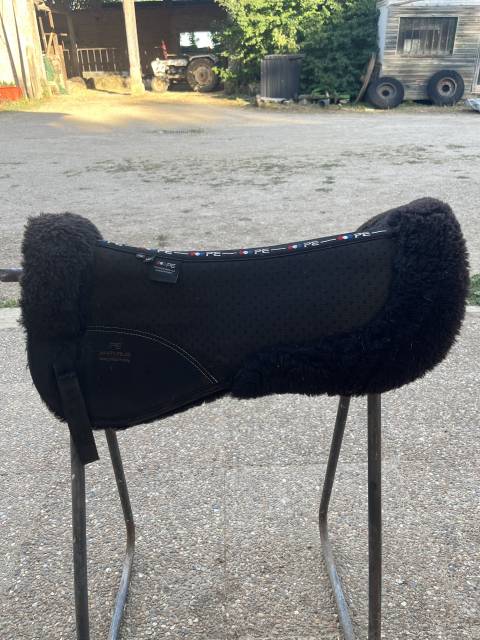  Premier Equine Occasione
