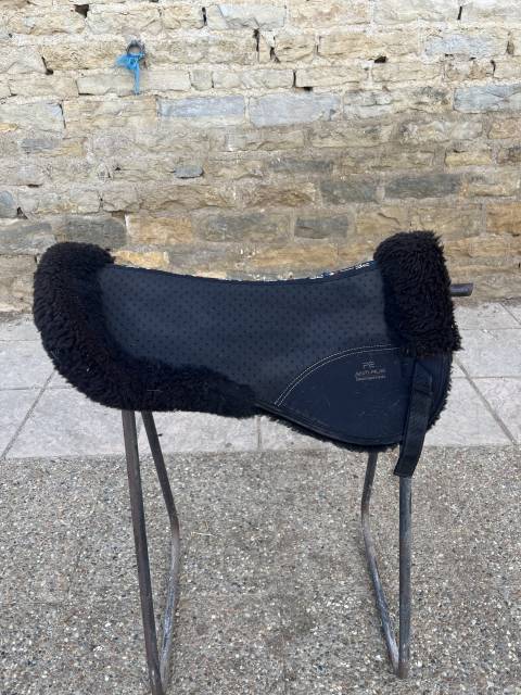  Premier Equine Occasione