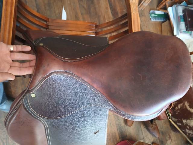 Sella da salto ostacoli Delgrange Cso plate 17'5 17.5" - 2025