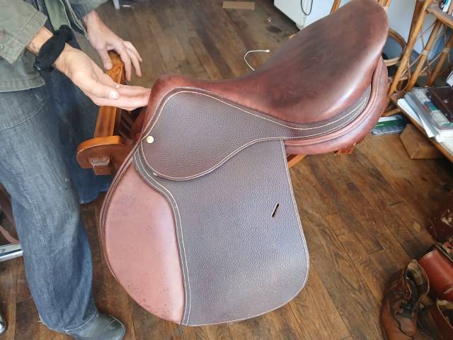 Sella da salto ostacoli Delgrange Cso plate 17'5 17.5" - 2025