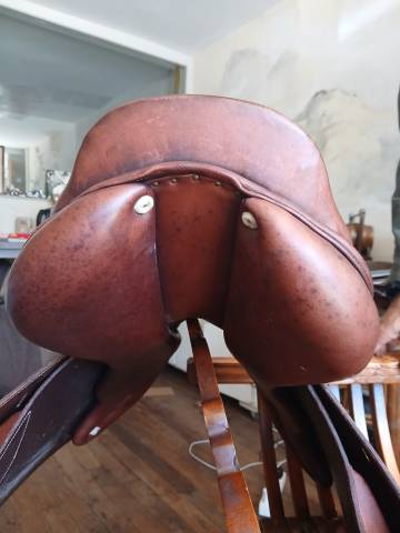 Sella da salto ostacoli Delgrange Cso plate 17'5 17.5" - 2025