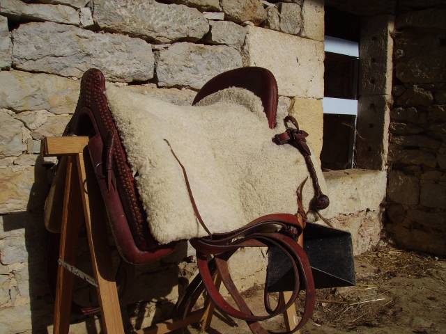 Sella da vaquera Rom&eacute;o  17" - 2011