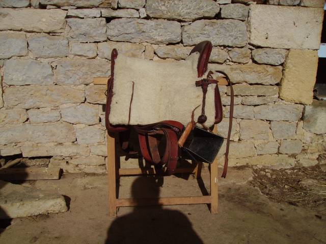 Sella da vaquera Rom&eacute;o  17" - 2011