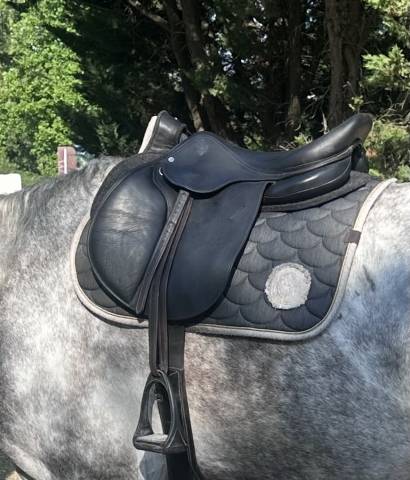 Sella mista Childeric  17.5" - 2020