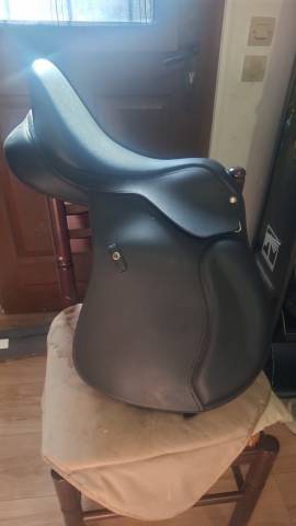Sella mista Wintec  17.5" - 2025