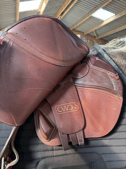 Sella da salto ostacoli CWD  17.5" - 2026
