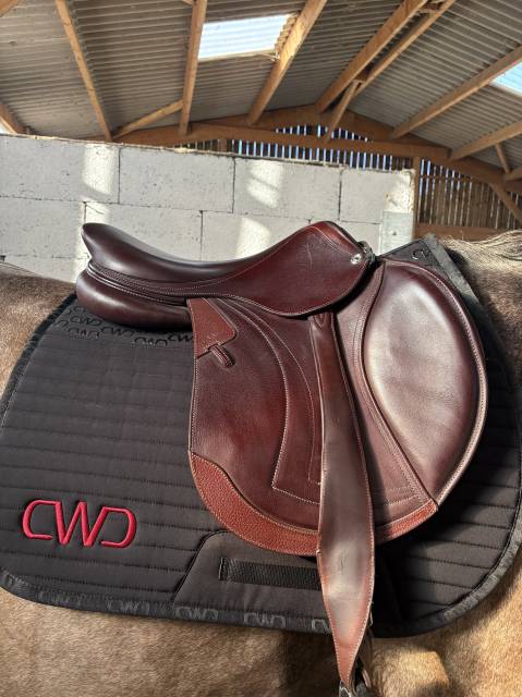 Sella da salto ostacoli CWD  17.5" - 2026