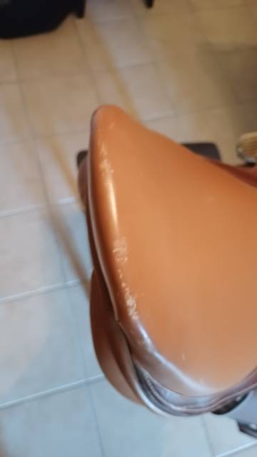 Sella mista   17" - 2019