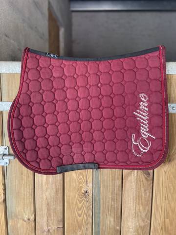  Equiline Occasione