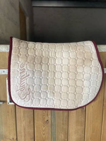  Equiline Occasione