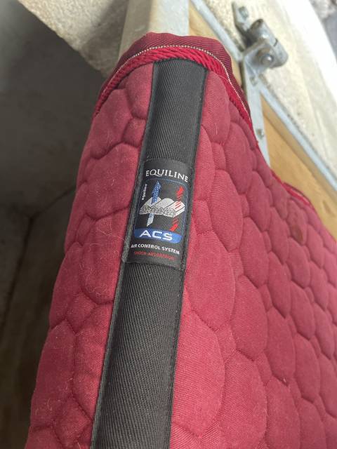  Equiline Occasione