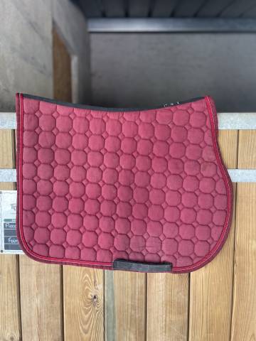  Equiline Occasione