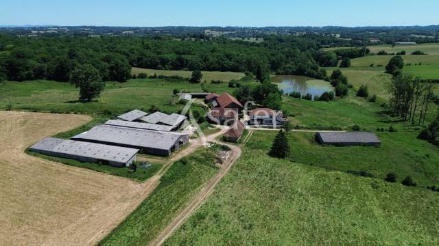 Azienda ovina In vendita Corr&egrave;ze