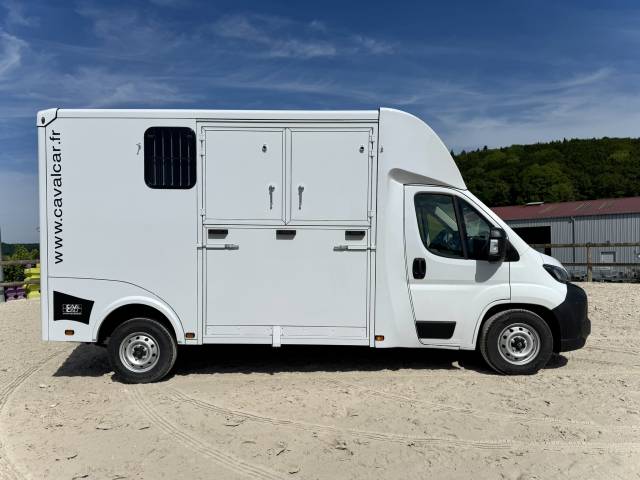 Van per Cavalli Cavalcar Stallium 3 2025 Nuovo