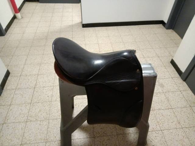 Sella da dressage Stubben vsd 16.5" - 2017