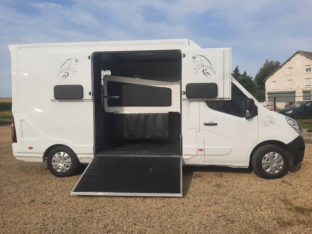 Van per Cavalli Renault Master 2019 Occasione