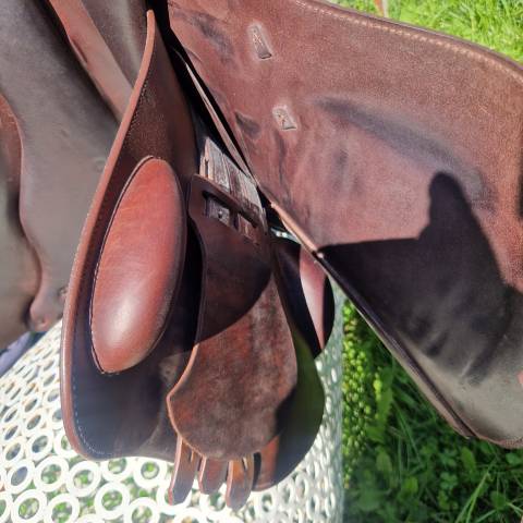 Sella da salto ostacoli Prestige Italia  17.5" - 2013