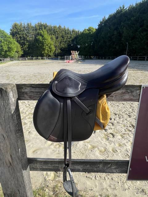 Sella da salto ostacoli Amerigo Octave S 17.5" - 2022