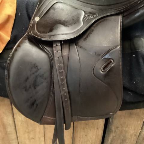 Sella da salto ostacoli Amerigo Octave S 17.5" - 2022