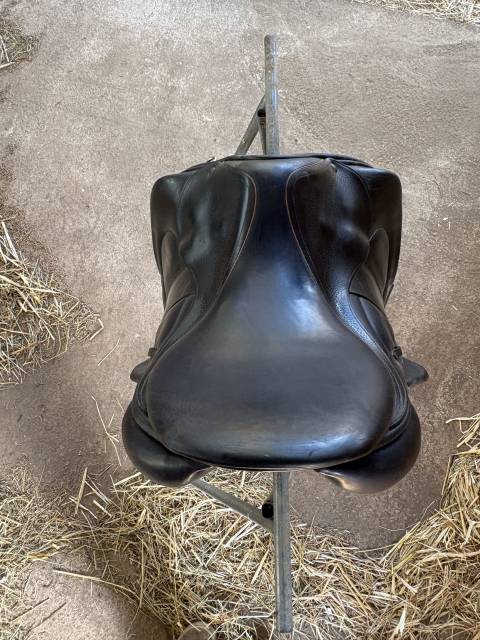 Sella da salto ostacoli Childeric  17.5" - 2016
