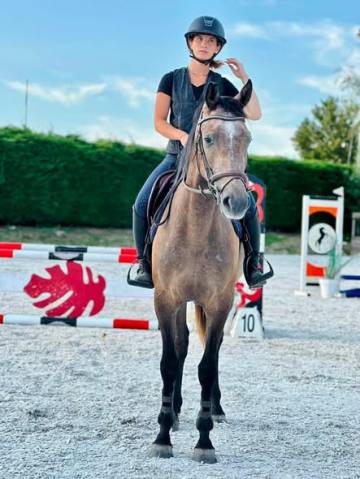 Cavalla Origine Non Constatata In vendita 2022 Grigio