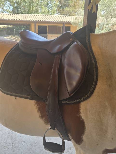Sella mista Antar&egrave;s  17.5" - 2016