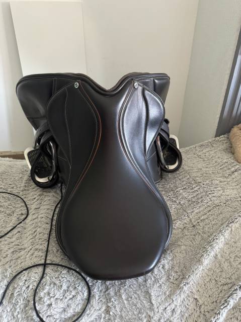 Sella mista Norton  17.5" - 2026