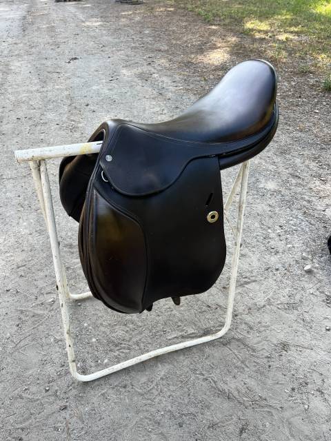 Sella mista   18" - 2015