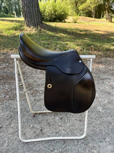 Sella mista   18" - 2015