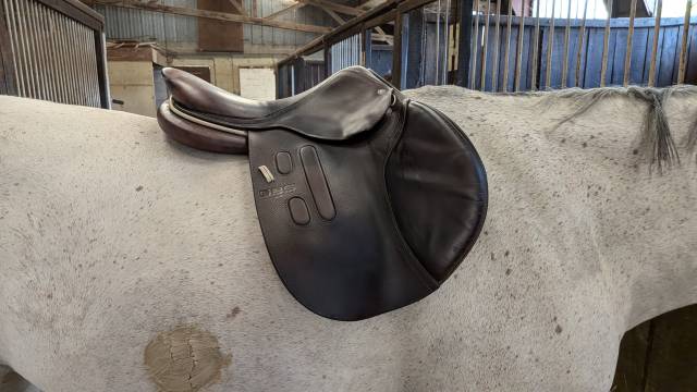 Sella da salto ostacoli GBS  17.5" - 2019