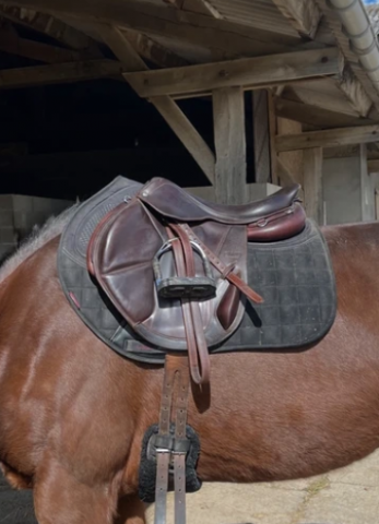Sella da endurance CWD  17.5" - 2023