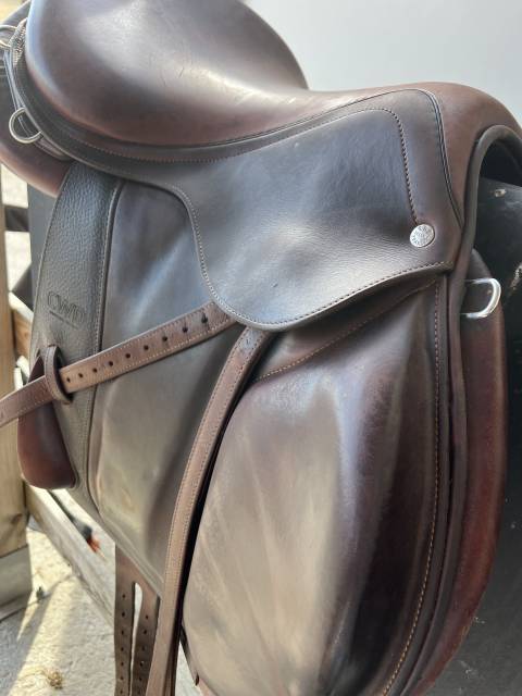 Sella da endurance CWD  17.5" - 2023
