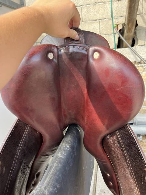Sella da endurance CWD  17.5" - 2023