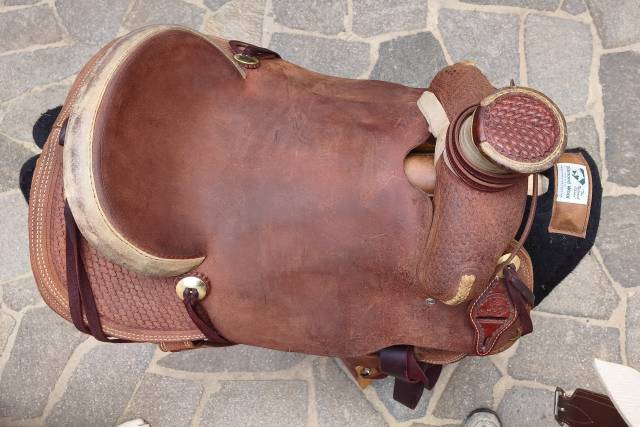 Sella Wade SRS Saddlery 16''