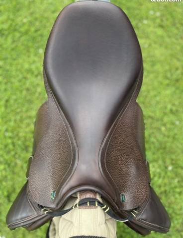 Sella mista Prestige Italia Golden star  17" - 2022