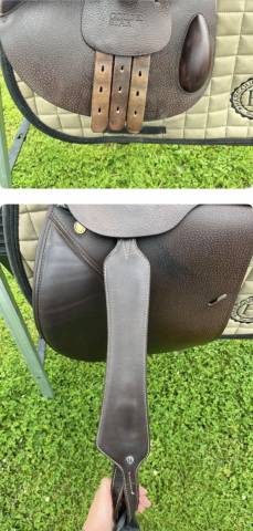 Sella mista Prestige Italia Golden star  17" - 2022