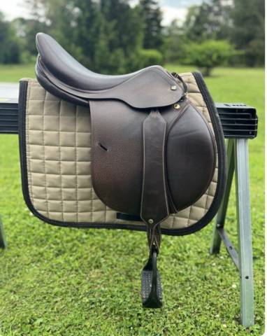 Sella mista Prestige Italia Golden star  17" - 2022