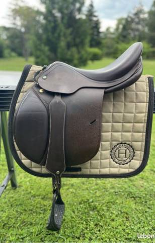 Sella mista Prestige Italia Golden star  17" - 2022